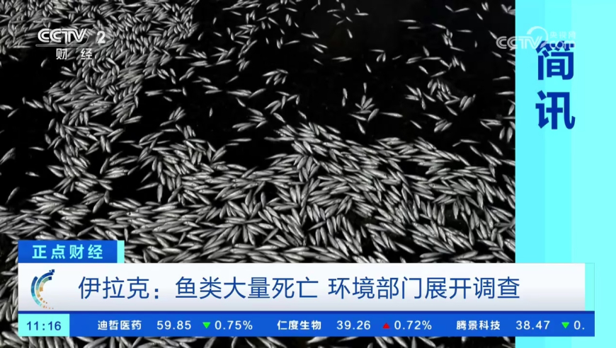 494949最快开奖结果香港新闻,太乙真人到底是什么神仙,决策资料解释落实_视频版V9.43